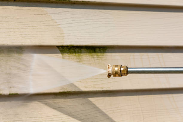 Best House Pressure Washing  in Park Falls, WI